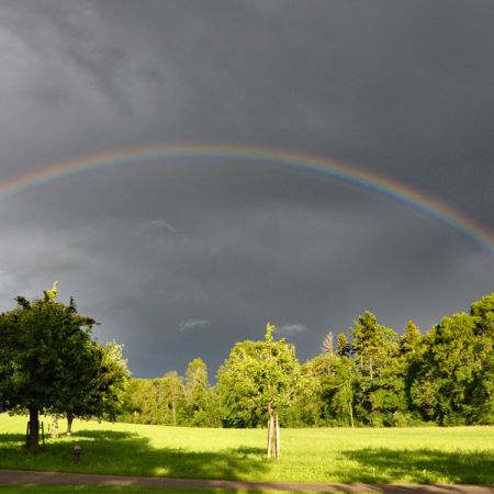 Ein malerisches Bild. Das Wetter kann Freude, aber auch Frust bereiten. Frost, Hagel oder schnell wechselnde Witterungen können ganze Ernten zunichtemachen. Mit solch Rückschlägen müssen wir umgehen und machen stets das Beste aus jeder Situation.