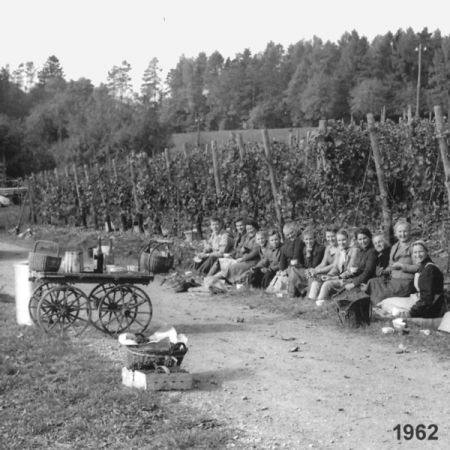 Nicht alles von „Früher“ ist schlecht. So werden auf dem Betrieb noch viele Arbeiten von Hand erledigt. Wie auch die Wümmet, sie ist heute wie früher, ein geselliges Fest. Wer Freude am Wein, den Reben und der Arbeit hat ist dazu herzlich willkommen.